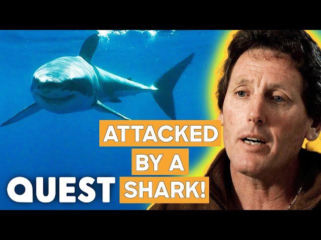 Abalone Diver’s TERRIFYING Shark Encounter | Dive Wars Australia