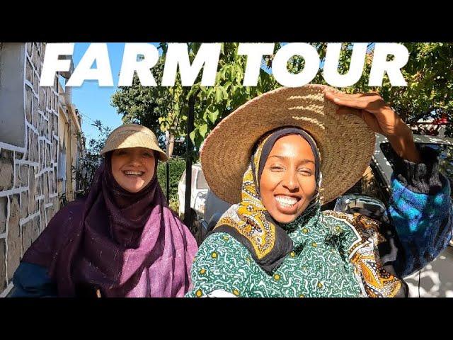 NEW VISITOR AT THE FARM | HARGEISA SOMALILAND 2025
