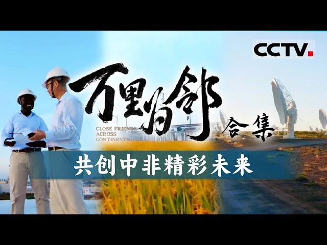 向心而行 中非万里为邻！多角度反映中非合作的实际成效 生动传递中非人民之间深厚的友谊与信任【CCTV纪录】