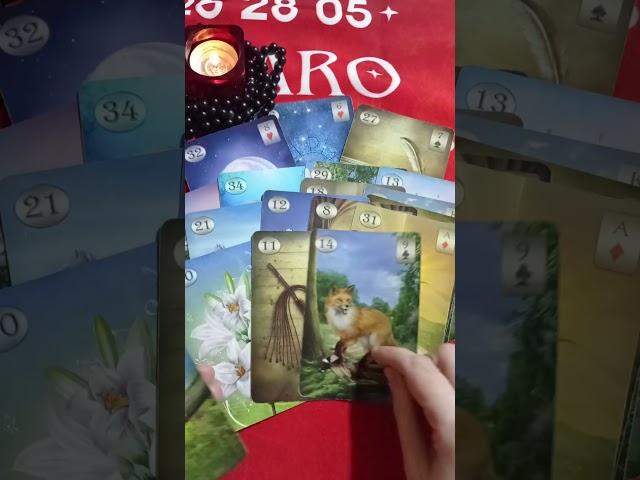 КТО О ВАС МЕЧТАЕТ НЕ СПИТ НИ ЕСТ ТРЕВОЖИТСЯ МУЧАЕТСЯ ...Таро расклад