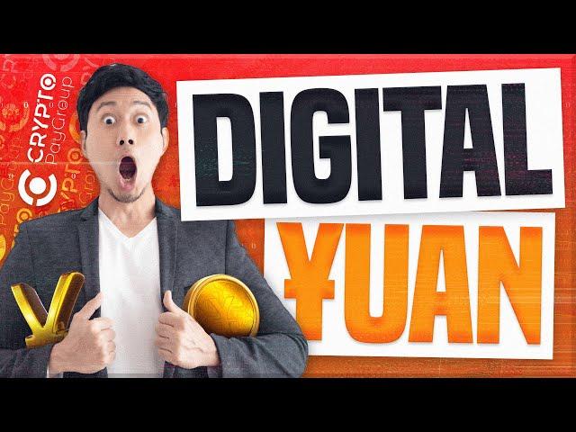 Digital Yuan | What are the Differences Between a Digital Currency and a Cryptocurrency?