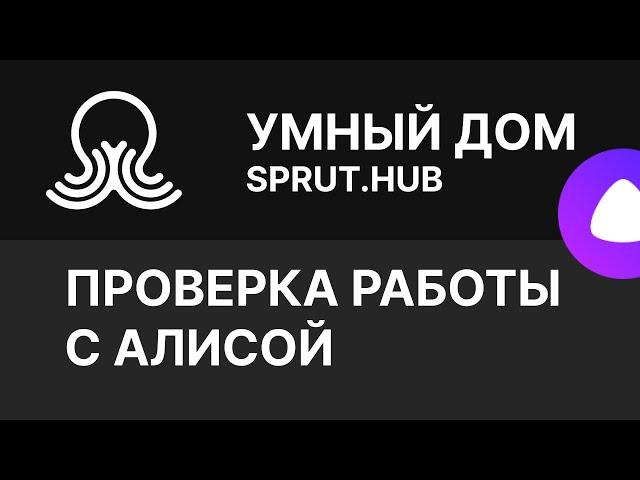 SPRUT.HUB - Проверяем, как работает с Алисой - Яндекс Дом