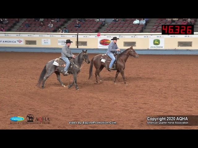 2020 AQHA Select Team Penning