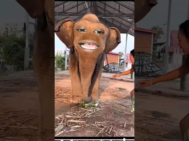#TIMELAPSE; START to FINISH Alone BUILDLOG Cabin (Wooden House), HowTo Build Wooden Cabin, Surviva 