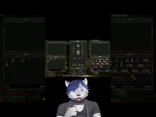 S.T.A.L.K.E.R. 2: Infinate Money Glitch! #stalker2 #stalker #vtuber