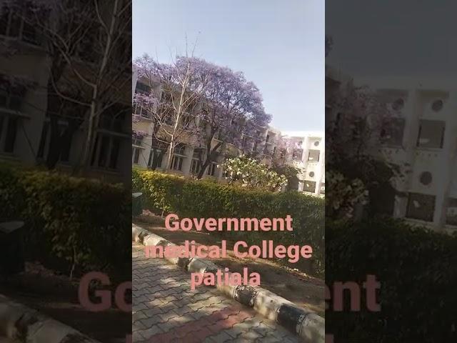 #gmc #patiala #college #medicalstudent #medicalcollege #life #medical #doctor