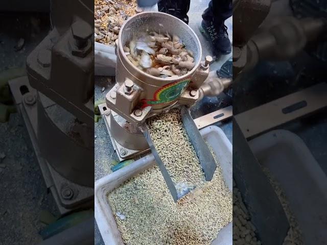 Peanut shell Maize Animal Feed Pellet Machine