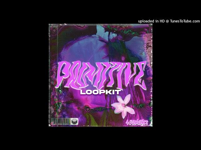 [FREE] PLUGGNB LOOP KIT/SAMPLE PACK - "Primitive" (Summrs, Autumn!, Xangang, Goyxrd)