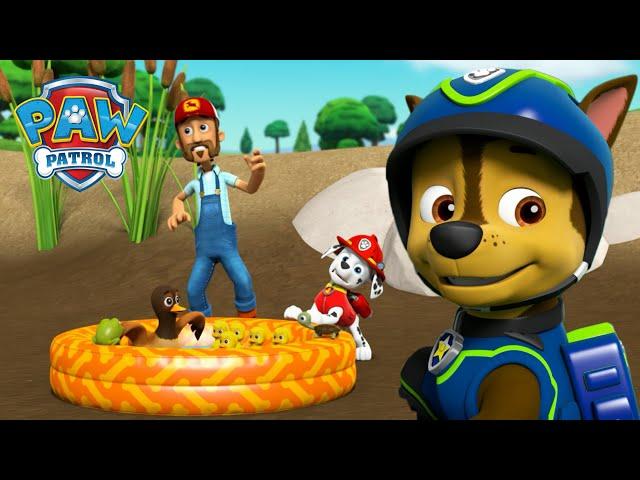 Marshall ratuje staw z kaczkami i inne akcje ratunkowe zwierząt! - Psi Patrol PAW Patrol po polsku