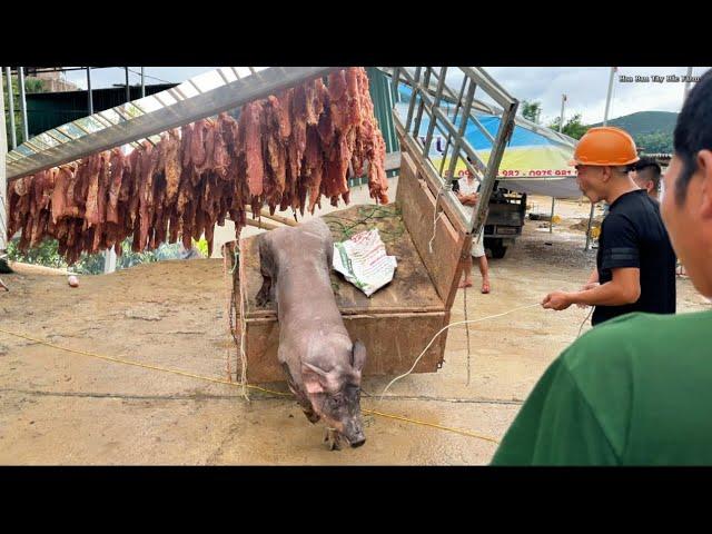 Ngả Lợn To Gác Bếp Làm 80 Mân Cỗ Mừng Nhà Mới Trên Bản | Hoa Ban Tây Bắc Farm