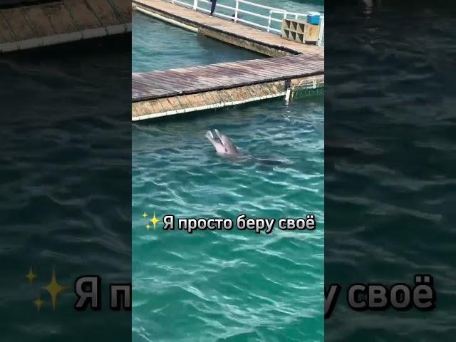 ВРЕМЯ ВЫШЛО #бог #сознание #мистика #матерьбожья #пробуждение #ченнелинг