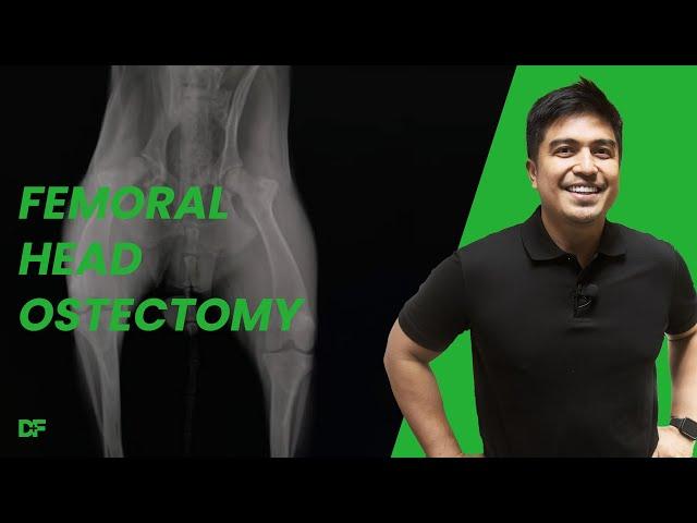 Femoral Head and Neck Ostectomy