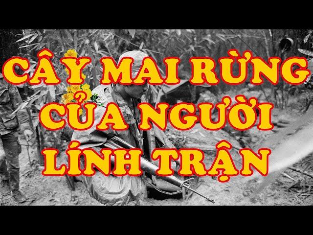 Hồi Ký Miền Nam | Cây Mai Rừng Của Người Lính Trận (Nguyên Nhung) (Remake 2024)