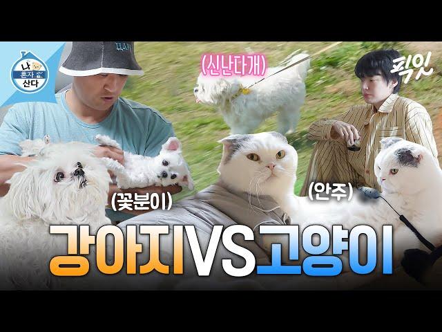 [나혼자산다] 집사 마음 녹이는 꽃분이&안주 MBC240412방송