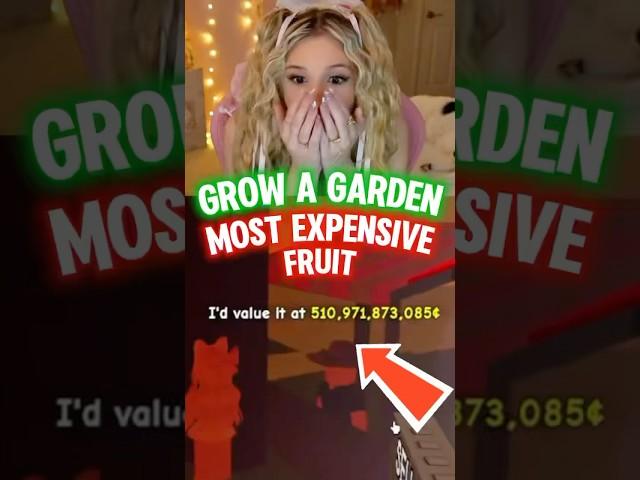 Did I Just Get The “MOST EXPENSIVE” FRUIT in GROW A GARDEN on ROBLOX?