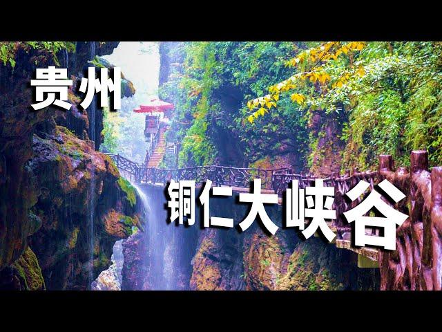 Guizhou Tongren Grand Canyon! The most charming canyon in China, Feiliu Waterfall is so beautiful!