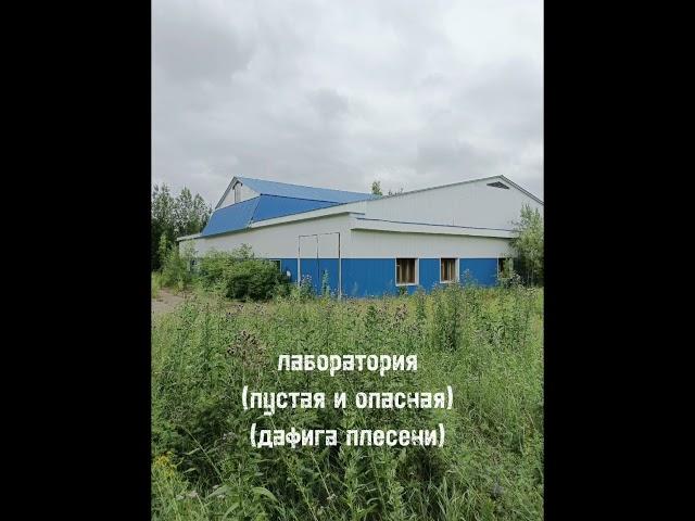 Заброшки города Стрежевой #abandoned #заброшенное #заброшка #abandonedplaces #заброшки #рекомендации