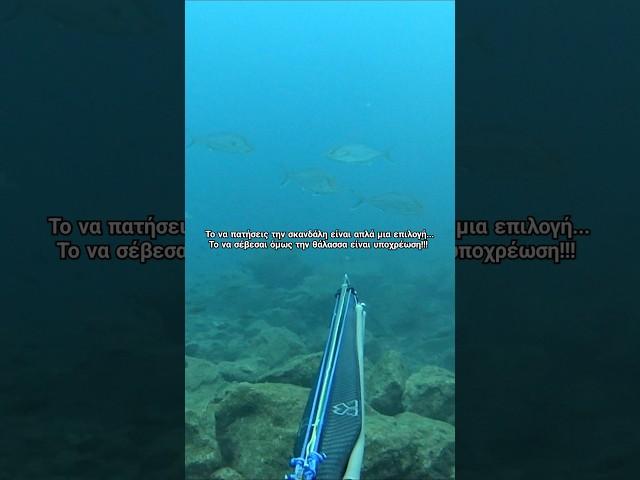  Ψαροντούφεκο και σεβασμός  Spearfishing and Respect  #spearfishing #fishing #respect #sea #pesca