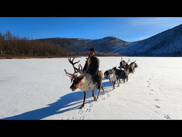 Tsaatan: the last nomads of Mongolia