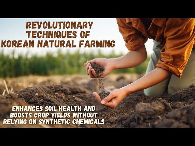 Secrets of Korean Natural Farming