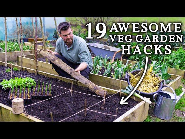 19 Vegetable Gardening Hacks for AMAZING No Dig Harvests