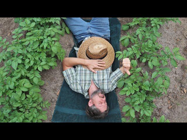 The #1 Survival Crop You Need to Know How to Grow