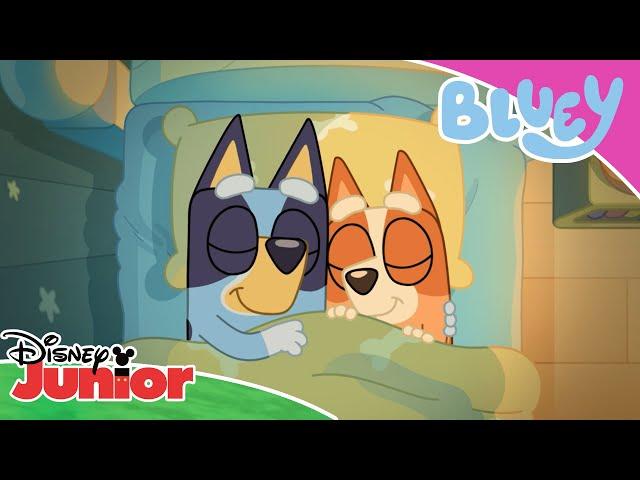 Secret Messages  | Bluey  | Disney Junior Arabia