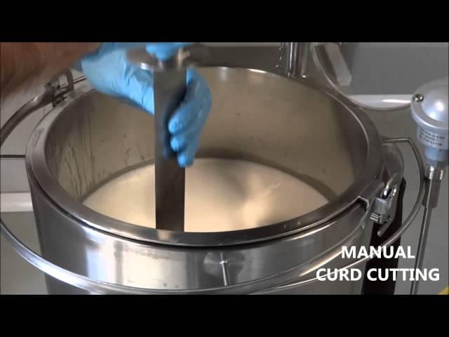 MINI DAIRY ACADEMY: FRESH CHEESE PRODUCTION