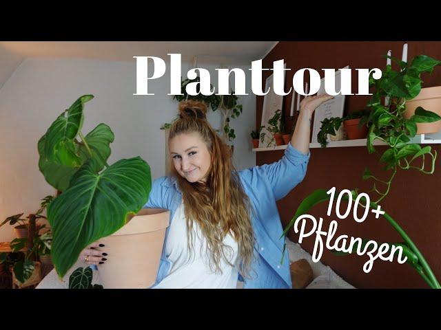 PLANTTOUR 🪴 | 100+ Pflanzen   *RARITÄTEN*