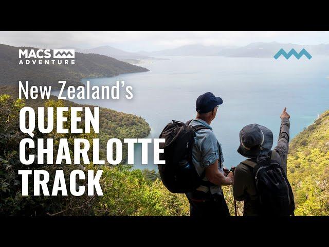 Walk New Zealand's Coastal Trail, the Queen Charlotte Track | Our 4 Day Macs Adventure