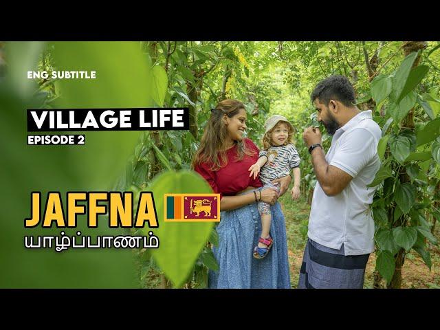 VILLAGE LIFE IN JAFFNA | EP 2 | [ENG] SUB