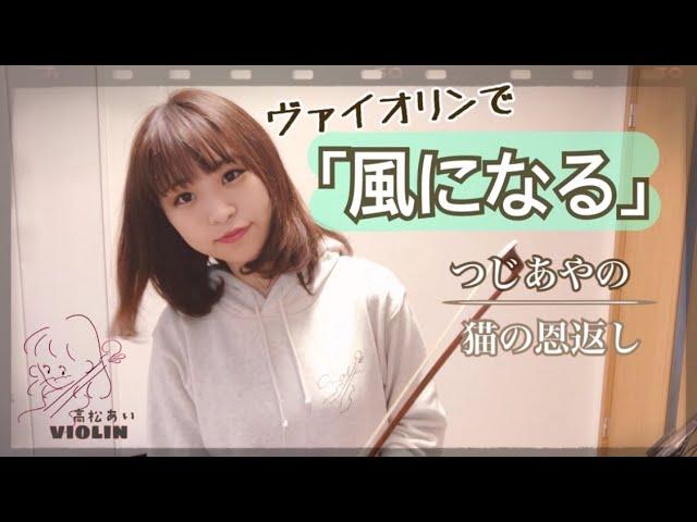 ヴァイオリンで「風になる」/猫の恩返し 主題歌 【高松あい_violin】kaze ni naru