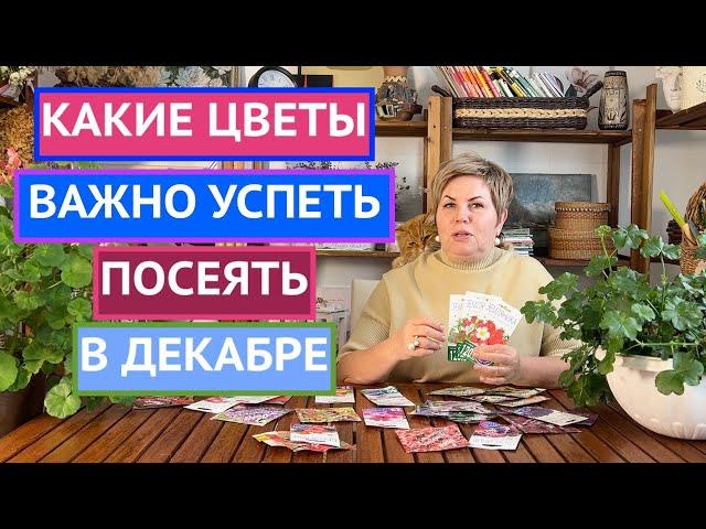 НЕ УПУСТИТЕ ВРЕМЯ! СЕЕМ ЦВЕТЫ В ДЕКАБРЕ