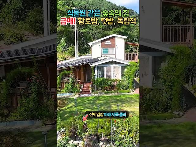 급매 1억 8천!! 식물원 같은 집!! 총 609평 독립적 위치 황토방 텃밭 태양광!! 가성비 전원주택 매매 급매물 #shorts