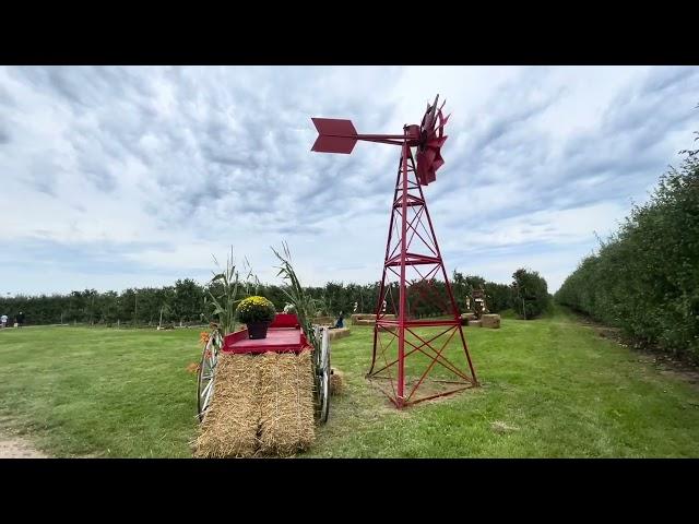 Apple Picking at Watson Farms