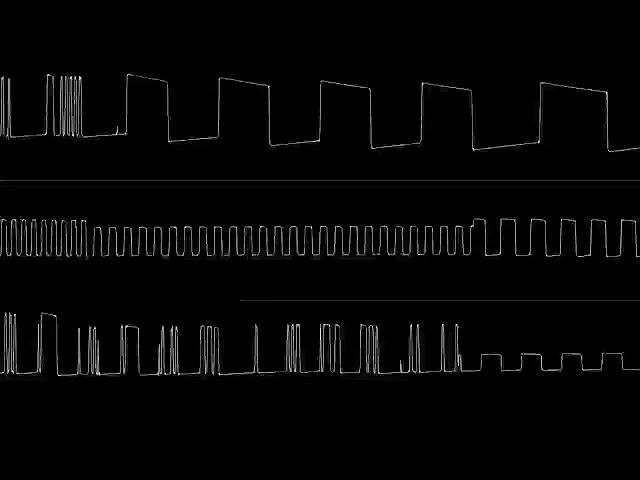 unfinished crap #?: roots of ruin on the zx spectrum 