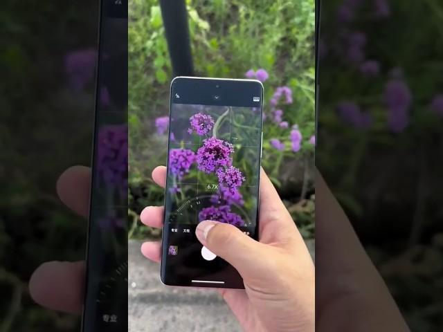 xiaomi 13 pro camera test New mobile  | #shorts #capturethemoment #xtech