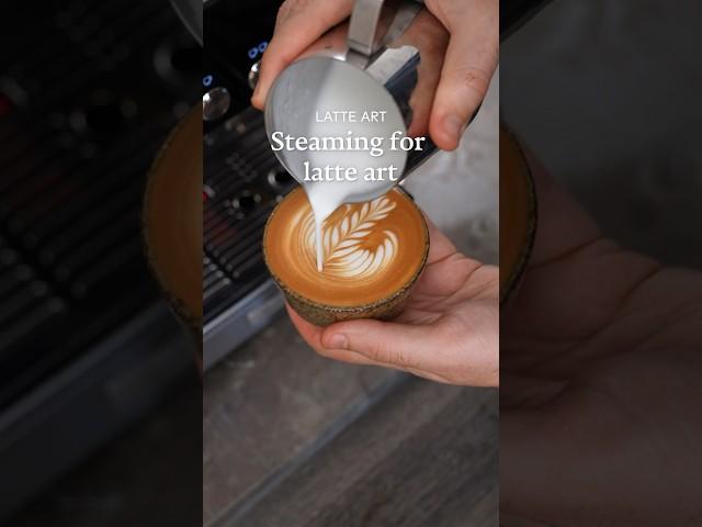 How to steam milk for latte art #coffee #coffeeart #barista #latteartist