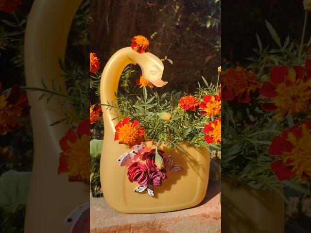 Creative Gardening with Repurposed Oil Cans
