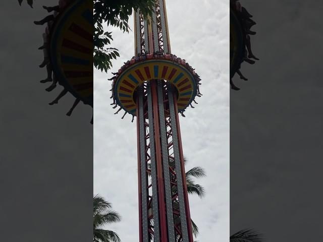 Fantasy park  || smileyykuttysss