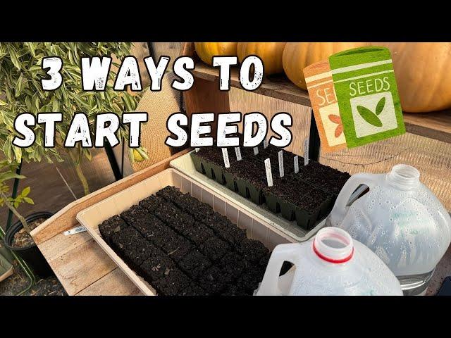 3 ways to start seeds | Winter sowing, soil blocking, and seed trays