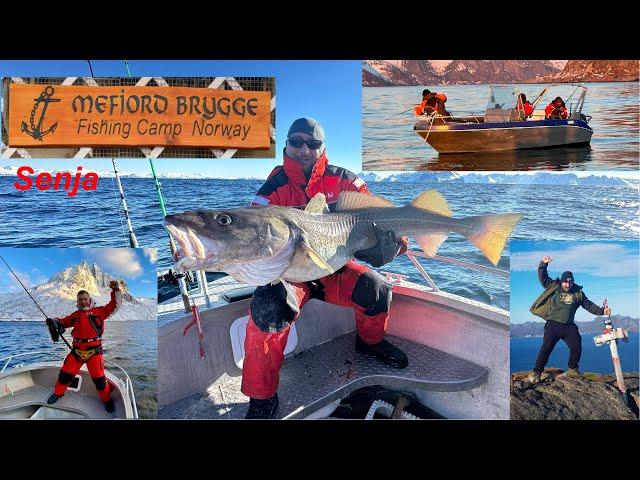 MK Fishing in Norway Senja, Mefjord Brygge Fishing Camp Adventures 2024