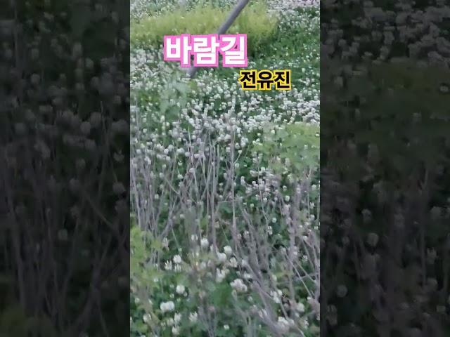 #한국힐링대학교 #힐링강사양성국내1위 #한국시니어모델협회 #100세현역 #힐링웃음치매예방 #전유진 바람길