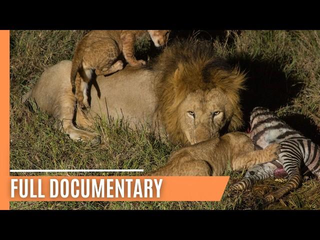 Masters of the Dark - Africa’s Top Hunters in Action | Full Documentary