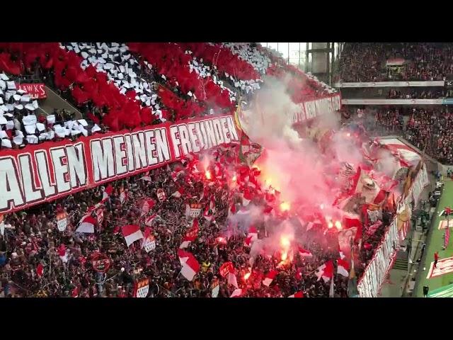 1. FC Köln - Mainz 05  09.April 2022 Erste Choreo nach Corona #effezh