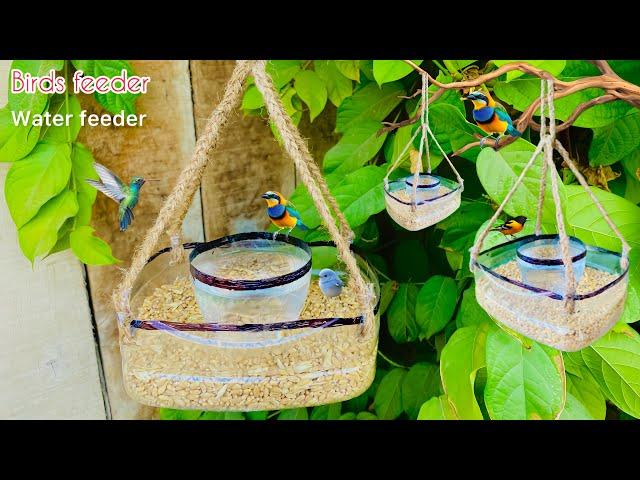 DIY Bird Feeder and Water Feeder: Eco-Friendly Crafts from Waste Materials