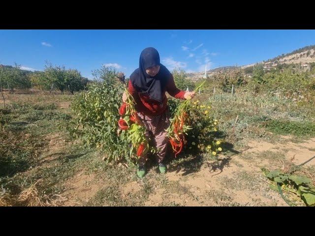 ÇAY ZAMANI DEĞİL KIRAĞI YAĞACAK | BAHÇE BOZUMU | BİRDE KİLİT BOZULDU | 2 AYAĞIN 1 PABUCA GİRDİĞİ GÜN