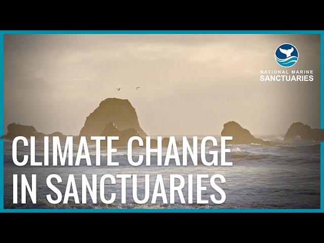 Earth Is Blue: Climate Change in your Sanctuaries