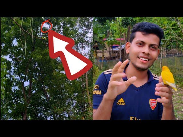 অবশেষে ম্যাংগো কে ফেরত পেলাম  | Sahin Showkat