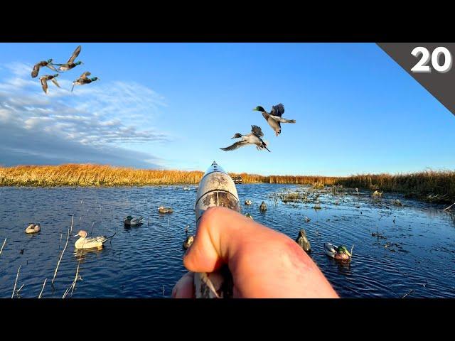 Solo DUCK HUNTING A Tiny Slough | The Perfect MIXED BAG Limit?!